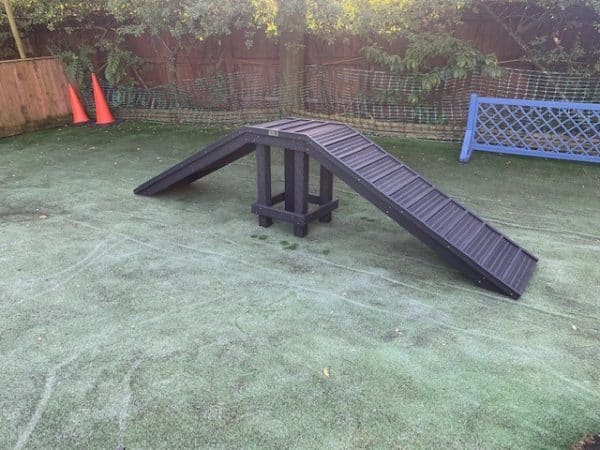 Sustainable recycled plastic dog agility equipment by DCW Polymers Ltd